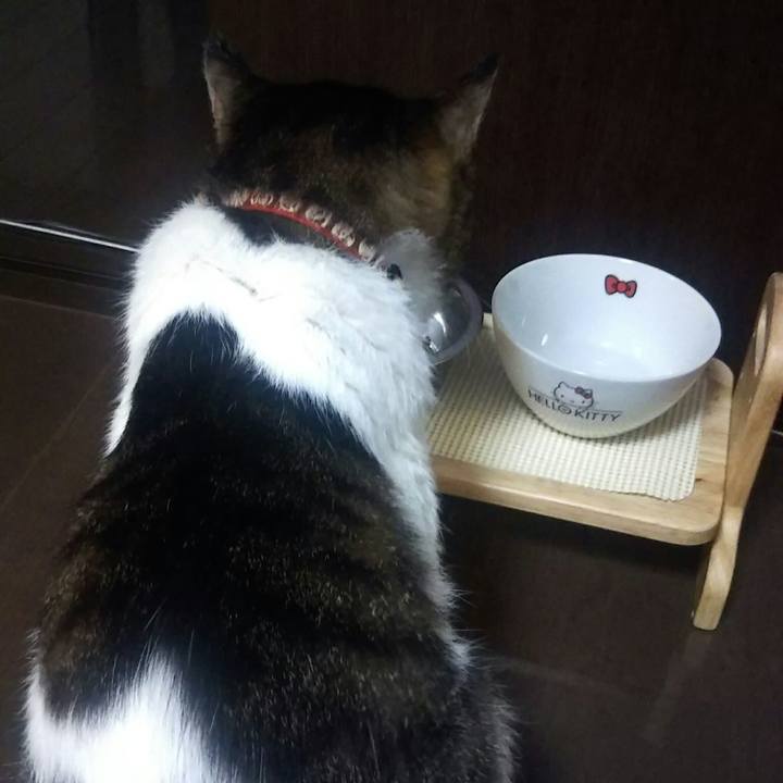 59ee22b7 be8d 4114 95ff 30c616193bab 1540635470066