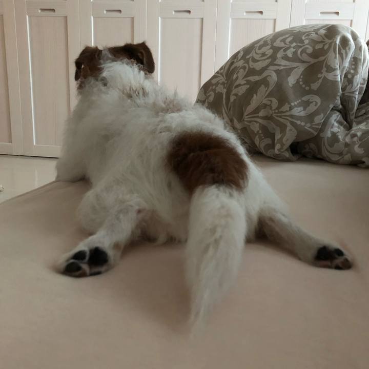 59ee43c9 7e9a 4e05 bb00 7063dfd0ea15 1624851957574