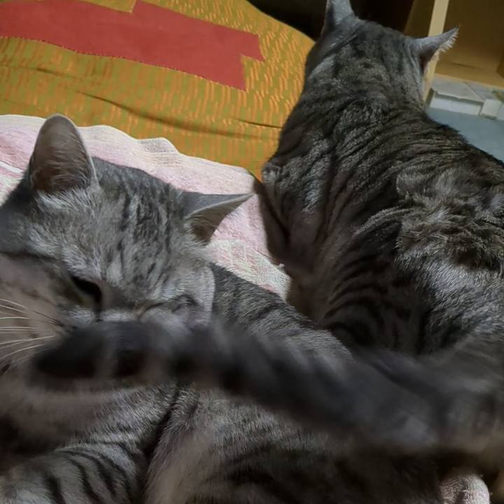 59ee4c49 bbf4 44cd b43a 52629515c625 1707143061701