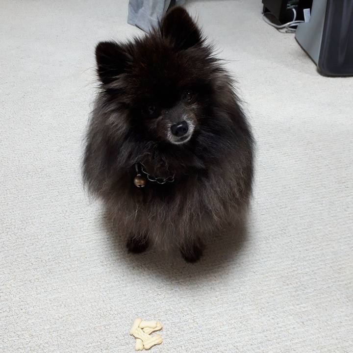 59ee55bb 508f 45e2 a220 e6c25c978902 1519073214768