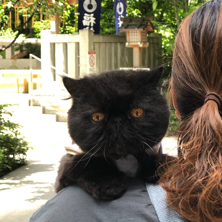 59ee5ca1 346d 4a1d 8529 808d93dbec6c 1716693207946