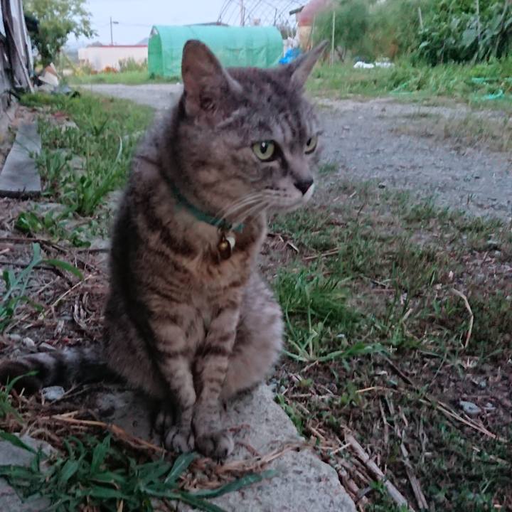 59ee60cc b0be 4833 883e 44e72120715c 1565603260855