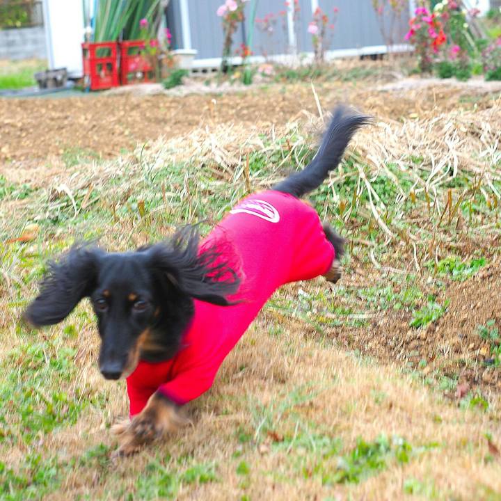 59ee6485 b6b1 4df8 ab1e ff0dafe067da 1578030682134