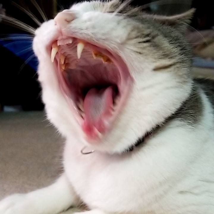 59ee8a8e 65ab 4d5a 87f9 47403f58db61 1626617206595