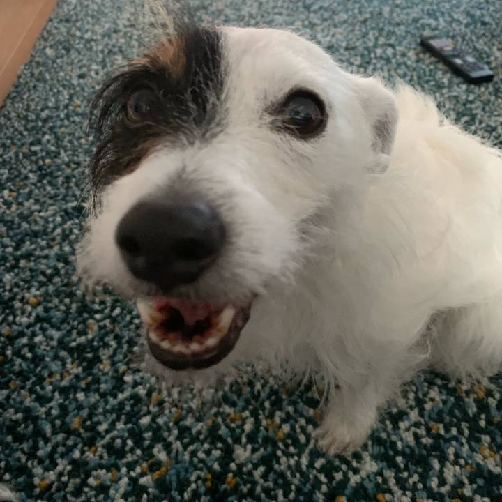 59eeb23f 78d7 42a4 9c96 21e3030833e3 1622384288114