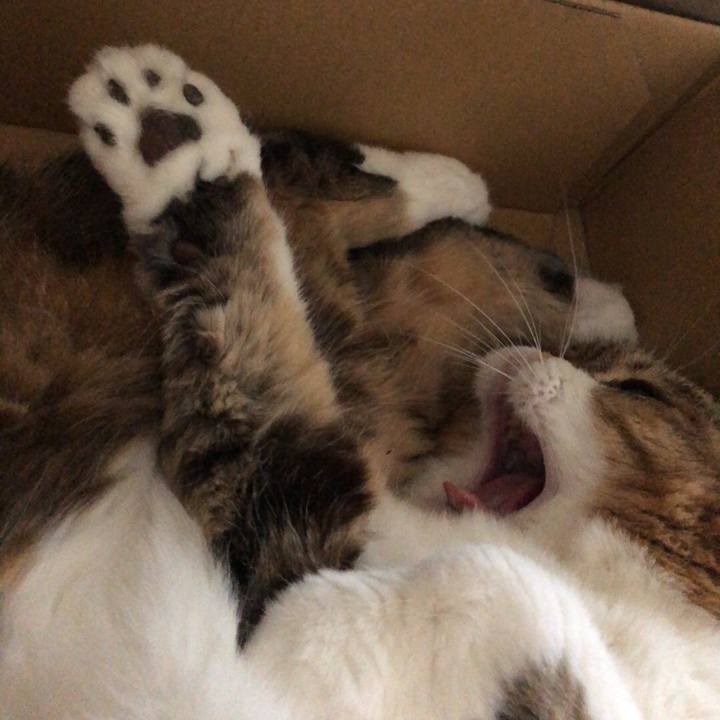 59eedd81 7b7f 4b50 8a32 51f8a27ce138 1536295021262