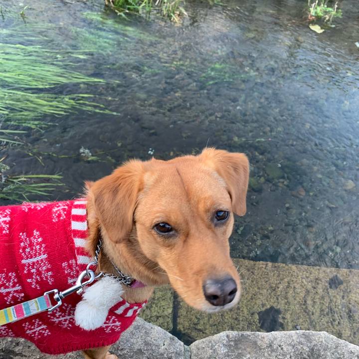 59eee280 616b 4f04 b168 2a41c9664719 1575948824264