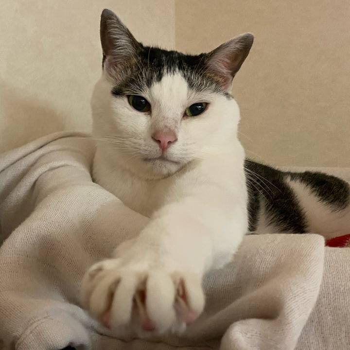 59eef8f7 e56d 43dc 8d18 47695e84a9e1 1764149388184