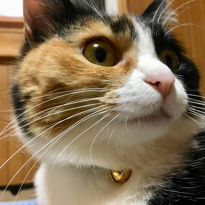 59ef0155 3938 4871 9c61 8810d77310c9 1518173979242