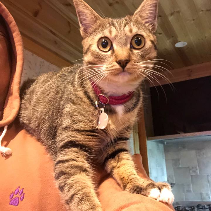 59ef0baa 4b28 4f3b 8cb2 1e4e63bde554 1574504252671