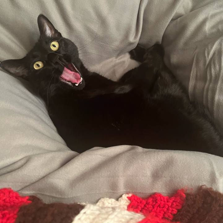 59ef0c3a 3186 47f5 80d8 788de332af82 1673054447062