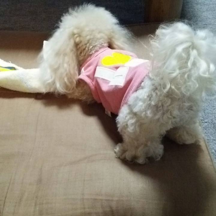 59ef7807 b9cb 48ad aa7d 911aaadce56e 1531481435144