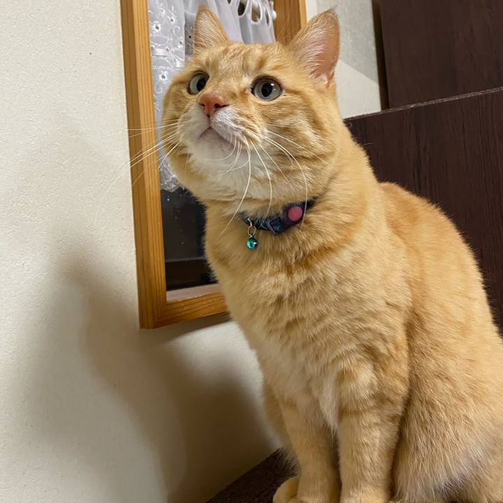 59ef7abc c3b1 48da 9a8e 1d3ccf2e2890 1611311311101