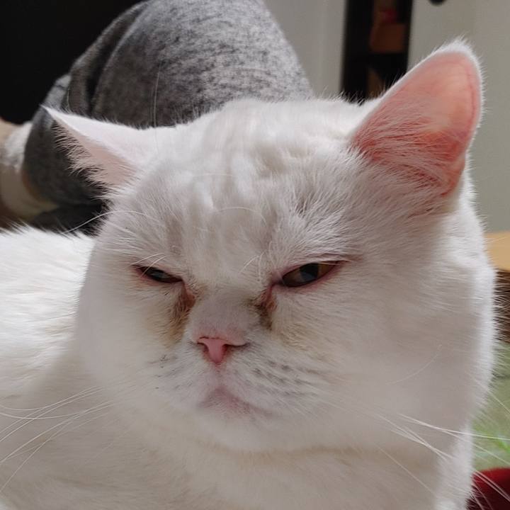 59ef7ca2 e311 45d2 9a44 acceeb5a789e 1645950604199