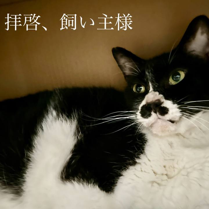 59ef8bb4 c124 4550 9ecf 2c45ce60c915 1722756193201