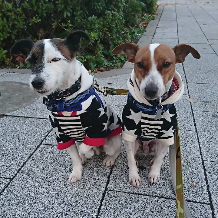 59efbdb5 f93e 4e86 b360 792ae1d0e03f 1543527879676