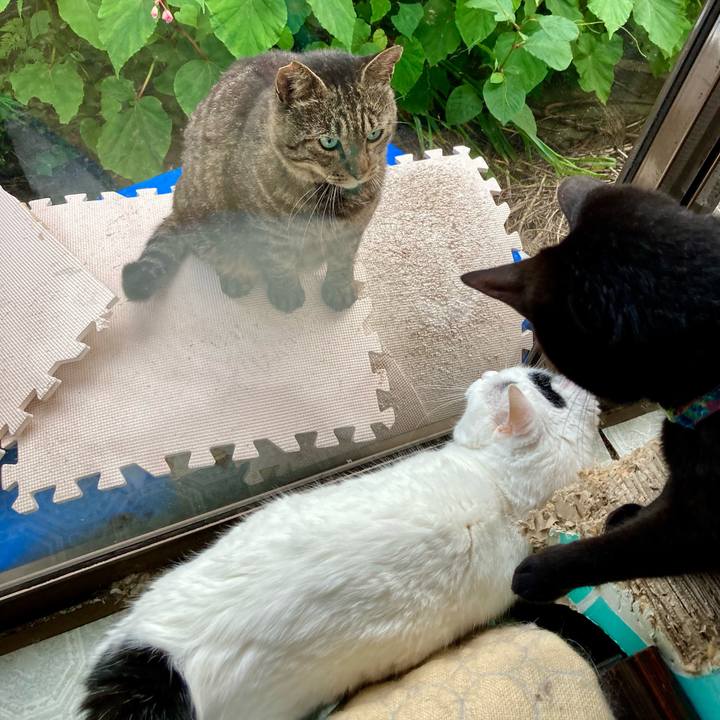 59efd837 7fe7 434b a93b f3cc08870378 1659162493007