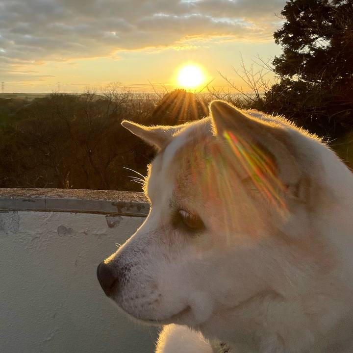 59efe53e c1eb 481b 8fe2 8e7530fd8ac5 1767765052295