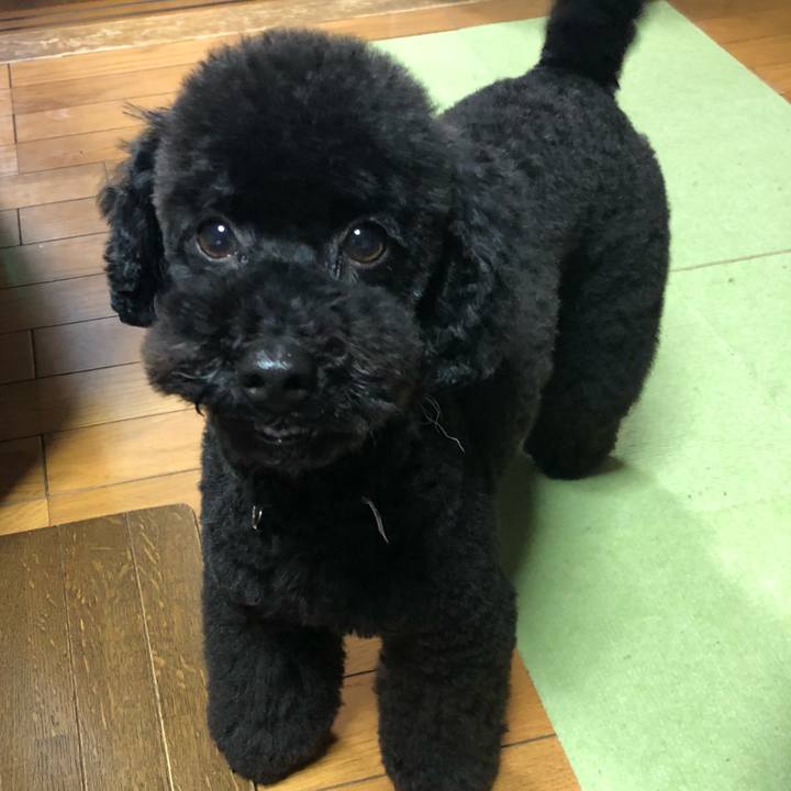 59efe8b0 90d9 4840 b1bc 697397ae0920 1550362042492