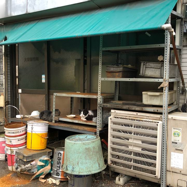 59efff67 f2da 442f ba9d ccc03ec5b123 1526651814556