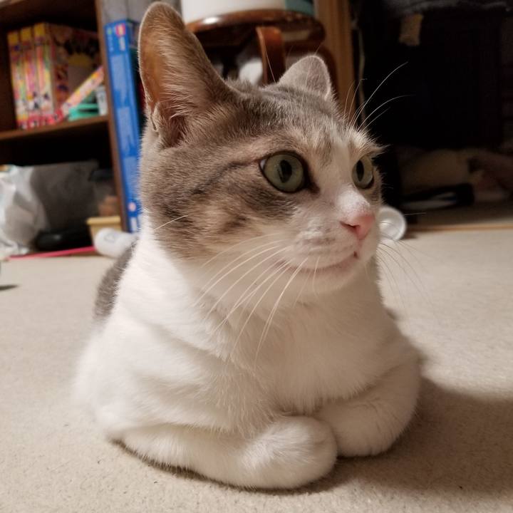 59f03131 584c 4f59 9d40 47506d176b38 1641821672843