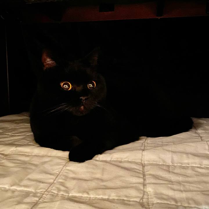 59f050ce b805 44af b718 f7f92a97f053 1670590661265