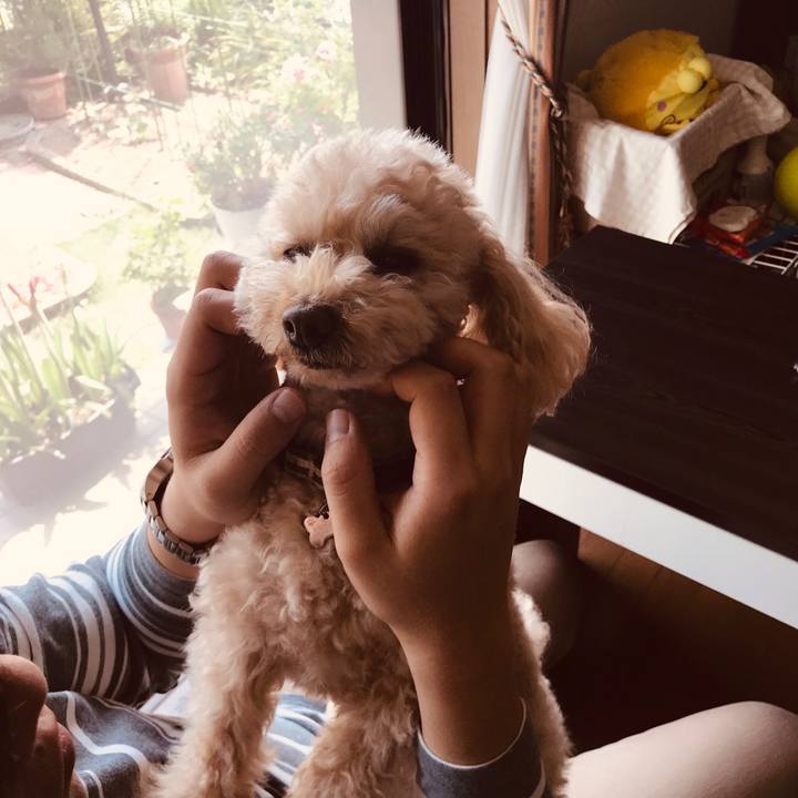 59f074e7 baf0 4473 b46d c204ab52ecb1 1556880348628