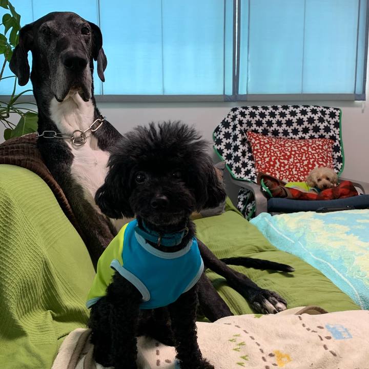 59f08795 c908 4034 bf85 709df92ac273 1591569740752