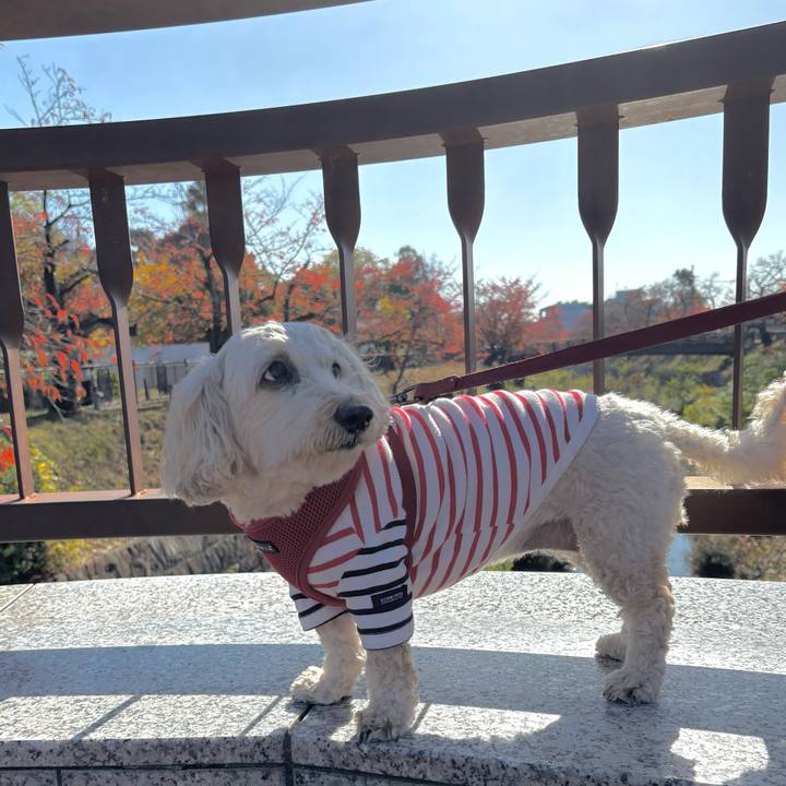 59f0ae08 ade3 4ad4 a056 9ecd4bb4ec76 1764474963099