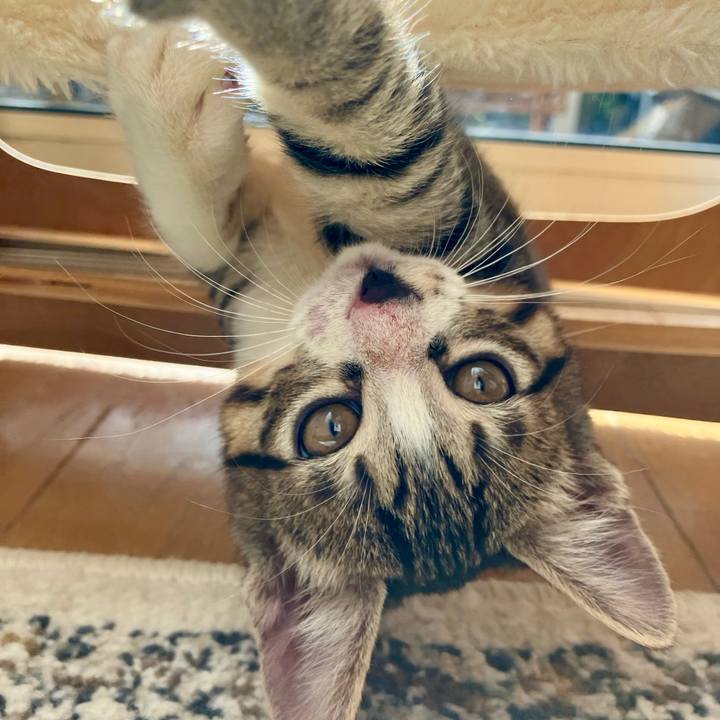 59f0bf7d c707 4cc3 b222 2abc1c28ba6b 1762174905472