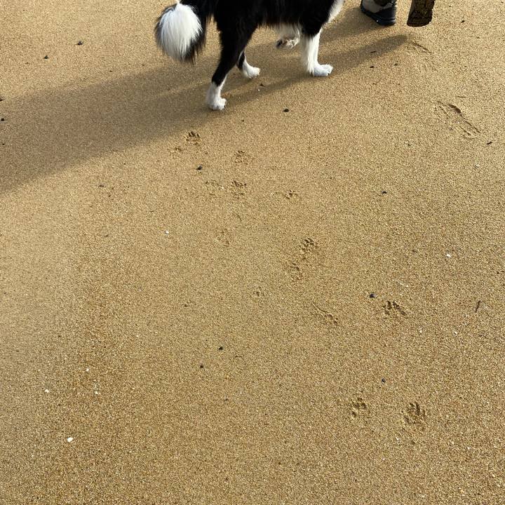 59f0c7a1 10f2 49b6 8691 11a155c16392 1633945615175