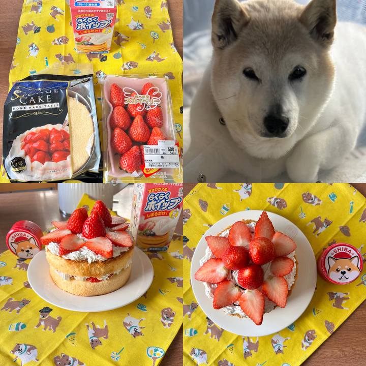 59f0cc31 2351 400b 9a79 0e969dd37580 1738818044052