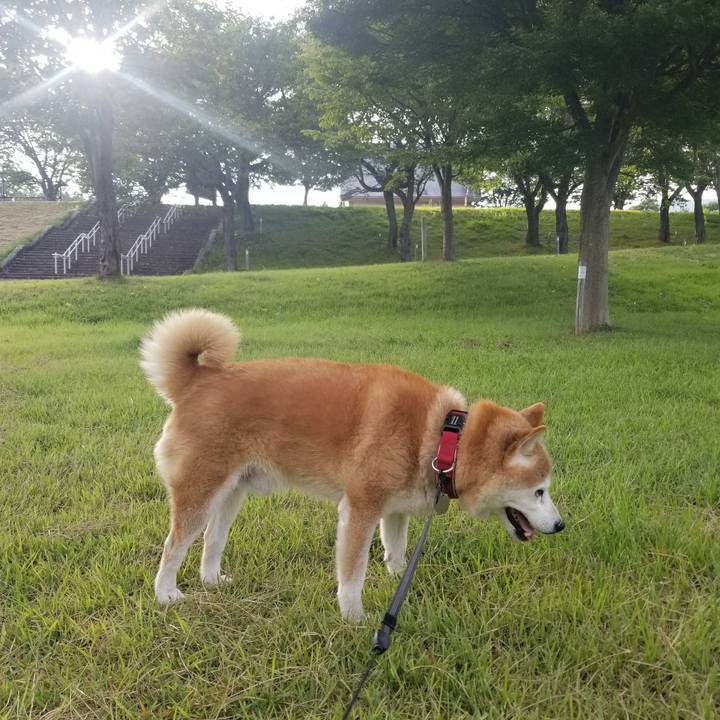 59f13ed2 0040 498c 979d dd8737bfc91b 1724227541627