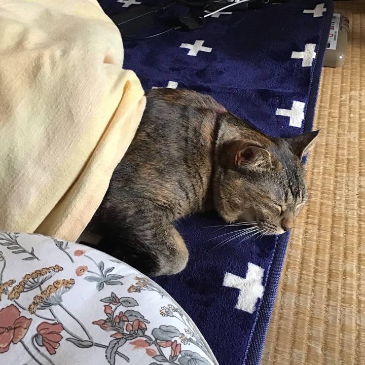 59f142c2 9b84 4de4 832c aa18024f66a2 1706426000306