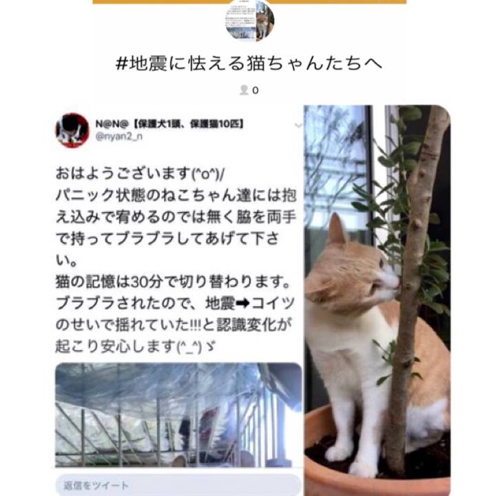 59f1e254 a803 4572 945c abce1285867d 1560866679029