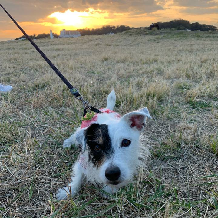 59f20a24 14f0 4011 854a f8cb6127974e 1670571904408