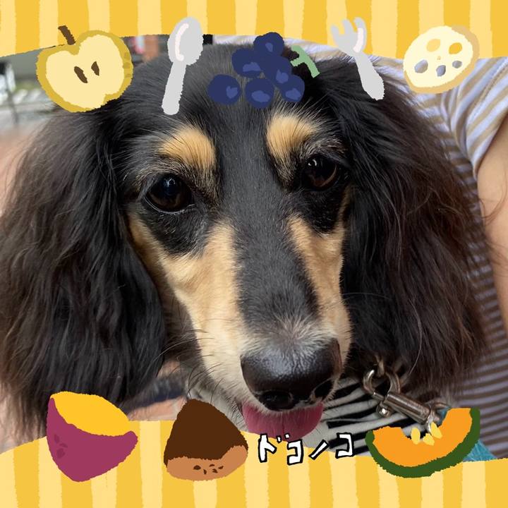 59f22df6 0e0a 4c37 b6e9 d6c56ec9310c 1726836013746