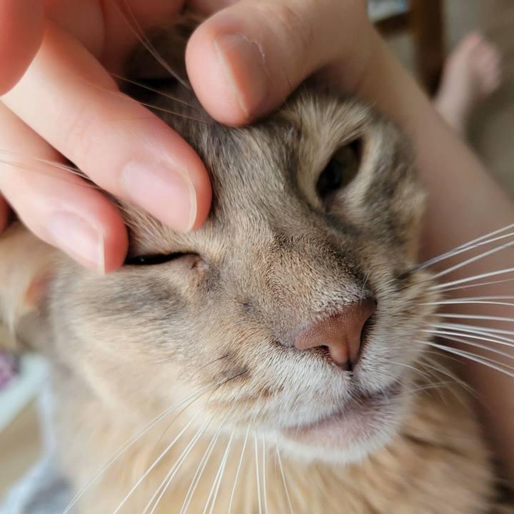 59f23c39 41e9 4c6e ba6d 628aeeae8231 1630720476277