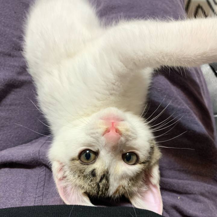 59f2564c dc37 4002 8546 0547c7464a09 1593606226108