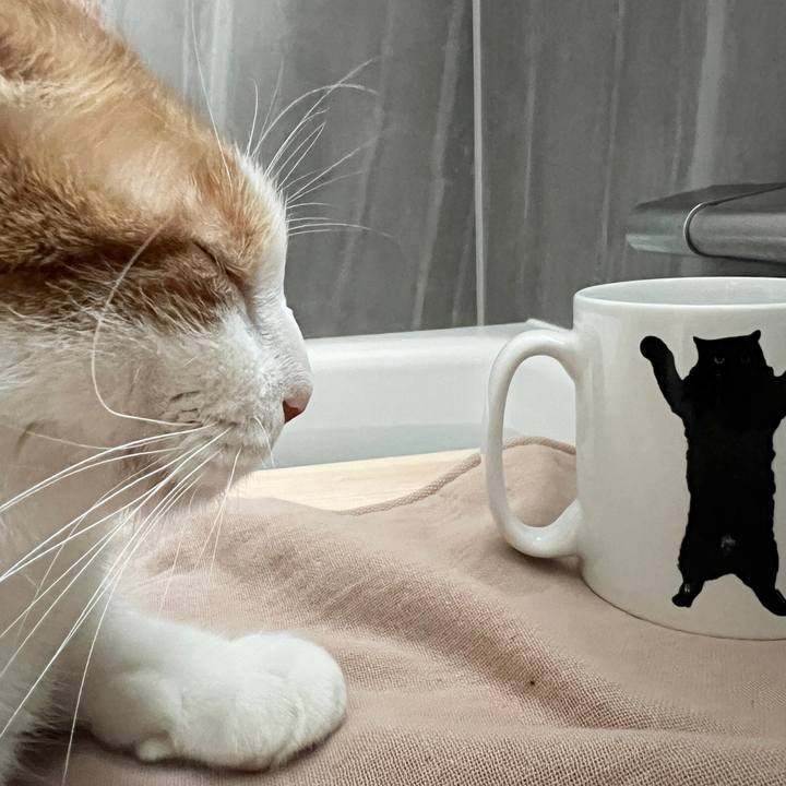 59f26c09 64ef 489b 8458 5f89a44cb75c 1764980900836