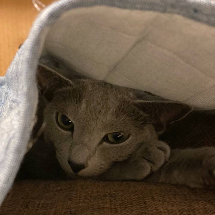 59f27ba9 dd28 4bc5 9f4a e317a8b0a0d3 1669290092338