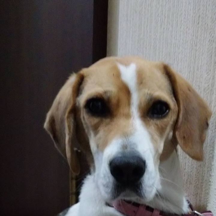 59f28743 cdb7 47e1 9093 d2925d5843ea 1576314366723