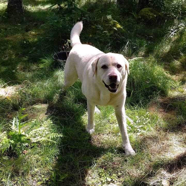 59f2da73 9ff9 4ed9 9720 c9f5b40e86ee 1660707851720