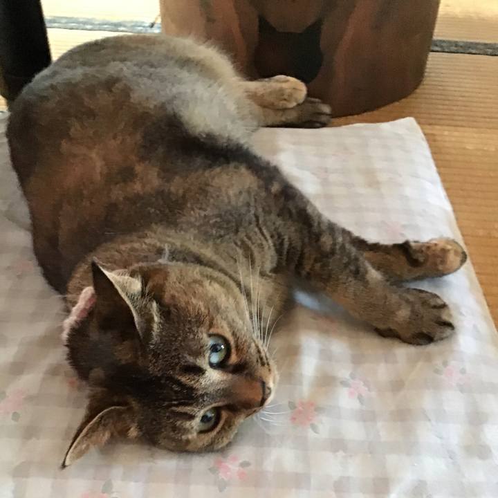 59f31523 0972 4dea 9997 c586b704fae9 1722851794322