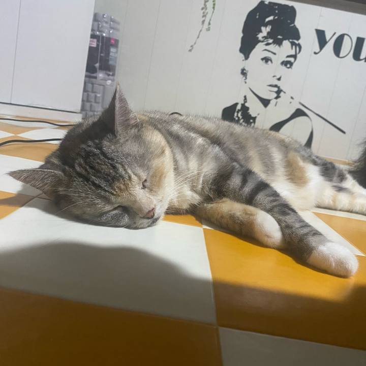 59f3386b 5145 487b 8ff1 364befaf760b 1723984804396