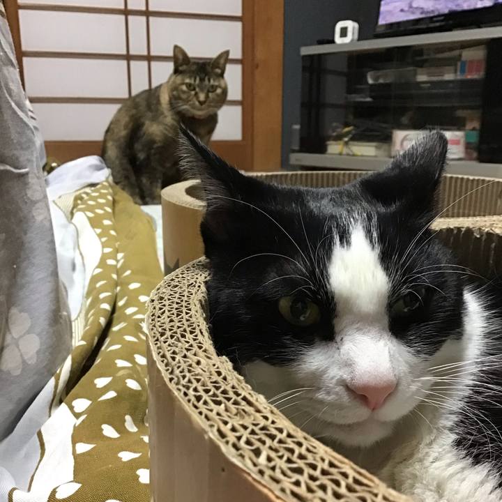 59f35467 d193 495b b666 8c4703c83c1c 1733482515840