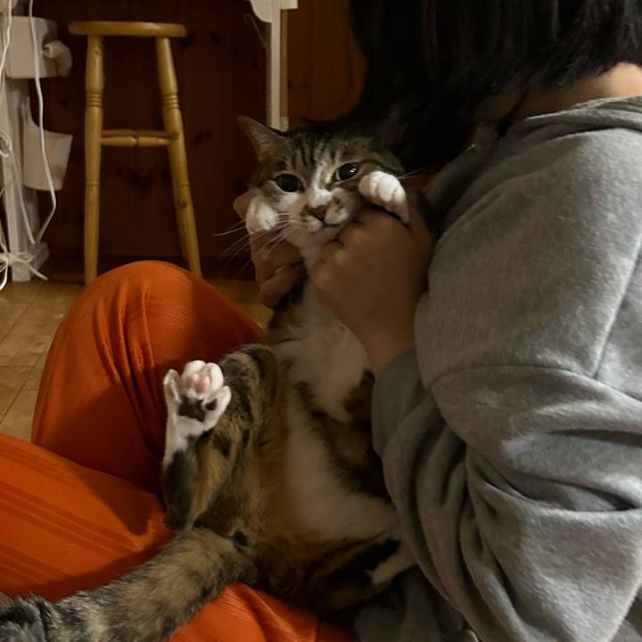 59f36403 78e5 4947 b6d8 ec4768ebe915 1681564318633