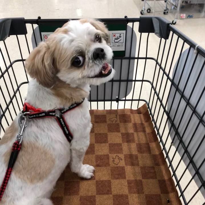 59f3647c 7642 4715 937a 174b9b0940a4 1564352429263