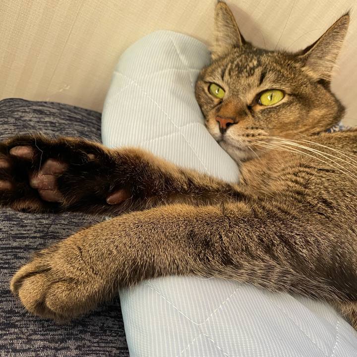 59f37467 ea49 4e4c a37d 7f7fec3a3148 1601186618061