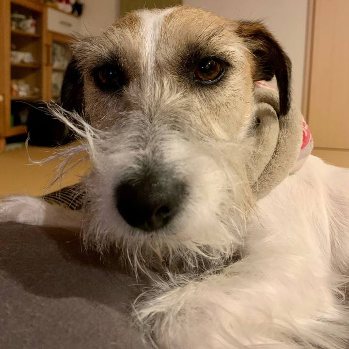 59f38b43 964c 4921 b202 4083e1aa22a1 1676211404492